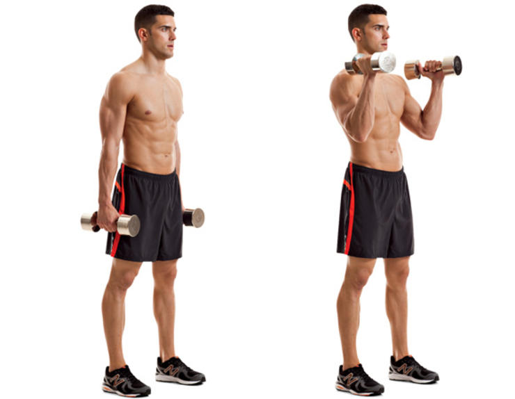 Exercícios para ganhar massa muscular rosca direta
